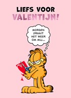 Garfield Liefs voor Valentijn